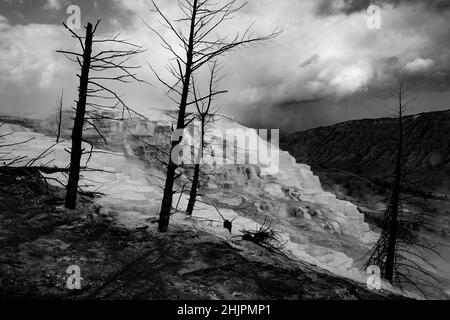 Scatto in scala di grigi di un geyser e montagne Foto Stock