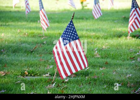 Bandiera americana nel Veterans Day Foto Stock