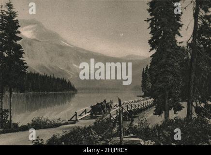 Sciame di trote nel lago di smeraldo ai piedi del Monte Wapta vicino campo nella bella Valle del cavallo calci. Canada (1923) Foto Stock