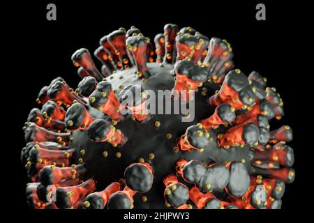 Illustrazione di una singola cellula virale, visualizzazione di un'infezione Foto Stock