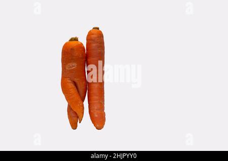 Carota deformata che assomiglia alla forma del corpo umano vicino alla carota diritta isolata su bianco Foto Stock