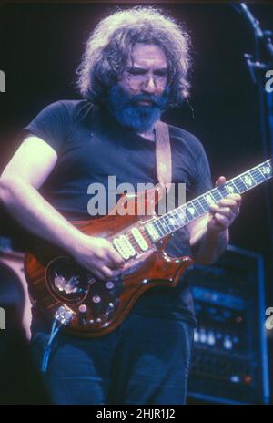 The Grateful Dead Performing in 1981 credito: Jeffrey Mayer / Rock negatives / MediaPunch Jerry Garcia Foto Stock