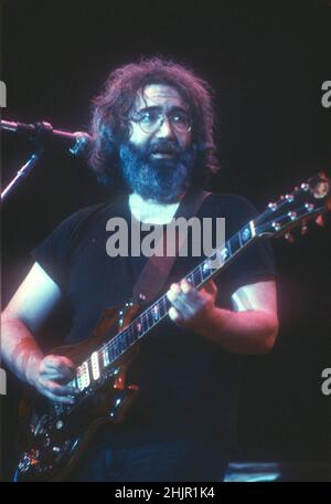 The Grateful Dead Performing in 1981 credito: Jeffrey Mayer / Rock negatives / MediaPunch Jerry Garcia Foto Stock