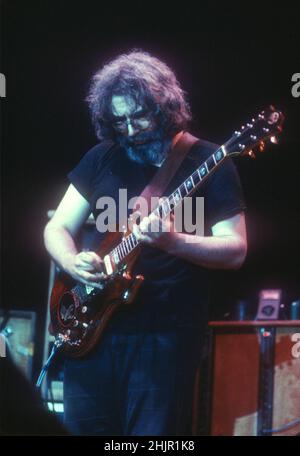 The Grateful Dead Performing in 1981 credito: Jeffrey Mayer / Rock negatives / MediaPunch Jerry Garcia Foto Stock