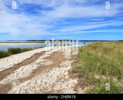 Riserva naturale di Mass Audubon's Wellfleet Bay, dune di sabbia, cieli blu e panchina vicino a Wellfleet, Cape Cod, Massachusetts, USA. Foto Stock