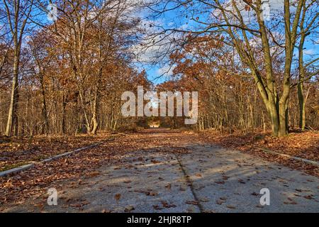 Palisades Interstate Park state Line Lookout in autunno. Lungo la vecchia strada 9W in Alpine New Jersey, USA. Foto Stock