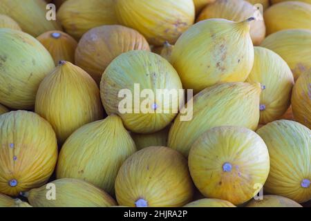 Meloni sfondo giallo. Varietà di meloni freschi coltivati in negozio. Foto Stock