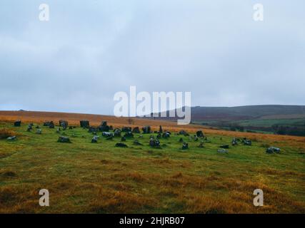 Visualizza l'SSE di quattro anelli preistorici in pietra (tre ellissi intorno a un cerchio centrale) a Yellowmead vicino a Sheepstor su Dartmoor, Devon, Inghilterra, Regno Unito. Foto Stock