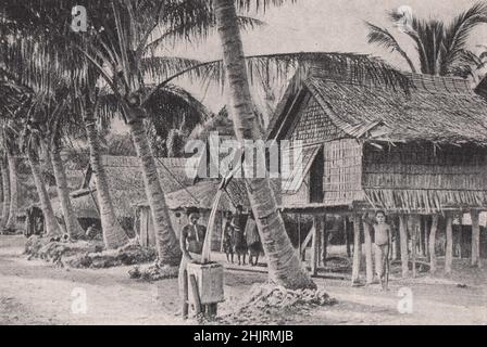 Isola di Nauru: Immagazzina l'acqua piovana da una palma di cocco. Micronesia. Isole del Pacifico del Nord (1923) Foto Stock