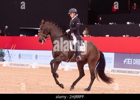 Anne Sophie Serre (fra) & Actuelle de massa (LUS) durante la Coppa del mondo Longines FEI 2019 il 30 2019 novembre a Madrid Horse Week, Spagna Foto Stock