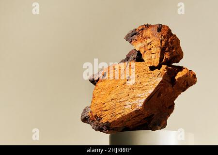 Pezzi di funghi Chaga naturale (Inonotus oblichus) su sfondo pastello. Cresce su un albero di betulla ed è usato per preparare il tè e il rimedio alle erbe. Foto Stock