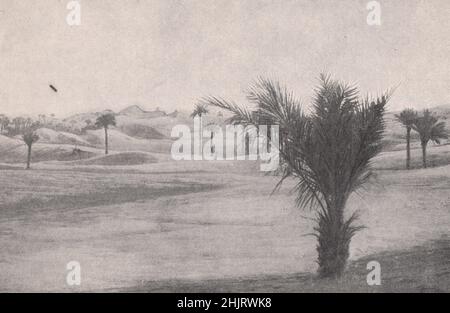 Approccio all'Oasi di Tabelkoza nel Sahara francese. Algeria (1923) Foto Stock