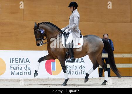 Daniel Martin Dockx (ESP) con Manchego ARB (PRE) durante la Coppa del mondo di Longines FEI 2019 il 30 2019 novembre a Madrid Horse Week, Spagna Foto Stock