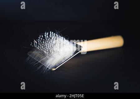 Pettine per gatti con un mazzo di capelli. Spazzola per la cura dei capelli con setole metalliche. Sfondo nero, messa a fuoco selettiva. Foto Stock