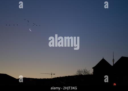Città al mattino con luna crescente. Torre TV tra edifici residenziali. Gru edili all'orizzonte. Diversi uccelli che volano sul cele Foto Stock