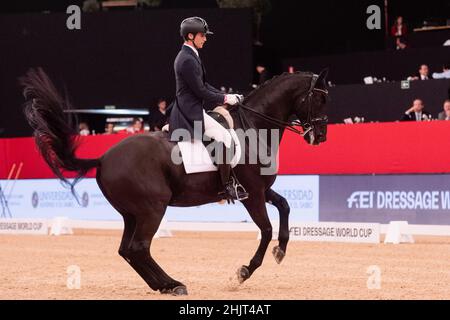 Juan Matute Guimon (ESP) con Don Diego (HAN) durante la Coppa del mondo di Longines FEI del 29 2019 novembre a Madrid Horse Week, Spagna Foto Stock