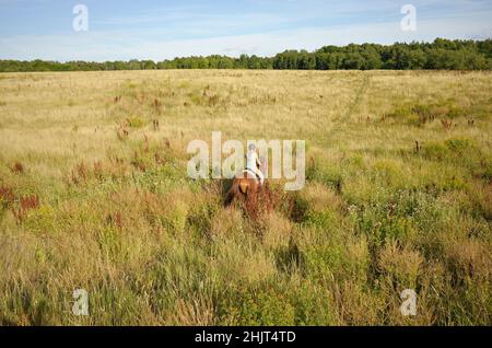 Ragazza che cavalca un cavallo in erba alta. Foto Stock