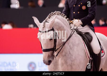 Rodrigo Torres (por) con Fogoso (LUS) durante la Coppa del mondo di Longines FEI del 29 2019 novembre a Madrid Horse Week, Spagna Foto Stock