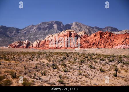 Le montagne rosse, il deserto e la strada all'interno del Red Rock Canyon in Nevada Foto Stock