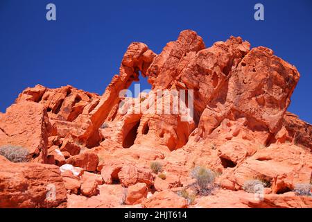 L'elefante forma la roccia in una giornata piena di sole nel Valley of Fire state Park in Nevada Foto Stock