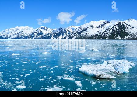 Wrangell–St Elias National Park e Preserve Ice galleggiante intorno al ghiacciaio Hubbard, Alaska Foto Stock