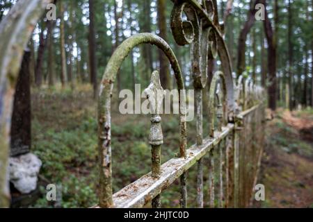 Fuoco selettivo su una recinzione in ferro battuto arrugginita in un grande terreno di cimitero boscoso nel nord-ovest del Pacifico Foto Stock