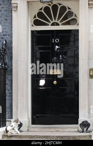 Larry il gatto in attesa di essere lasciato in 10 Downing Street Foto Stock