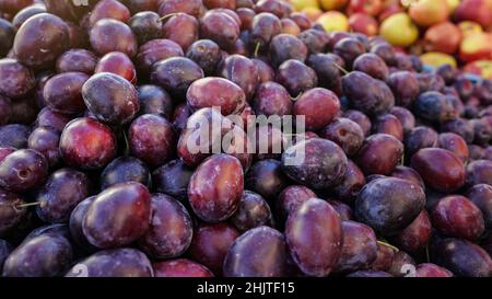 Mucchio di prugne viola scuro in mostra al mercato della frutta di strada Foto Stock