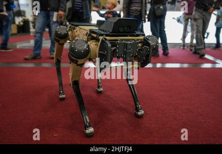 Piccolo cane autonomo come robot che cammina su tappeto rosso alla mostra militare, offuscato sfondo persone Foto Stock