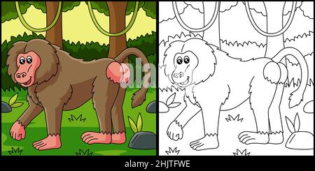 Baboon coloring Page Vector Illustrazione Illustrazione Vettoriale