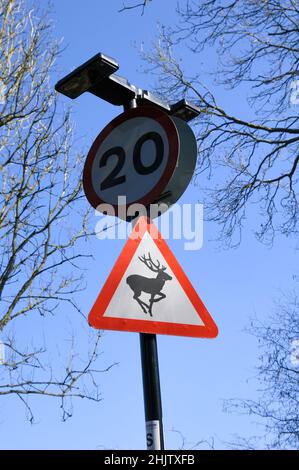 Segnale di avvertimento cervi con limite di velocità 20mph. Un promemoria per ricordare che il cervo potrebbe trovarsi nella zona e guidare con cura. Foto Stock