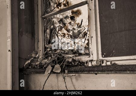 Scala di grigi di un edificio abbandonato a Francoforte Foto Stock