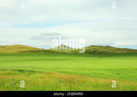 Alte colline nell'infinita steppa estiva si sono esagerate con erba sotto un cielo nuvoloso estivo. Khakassia, Siberia, Russia. Foto Stock