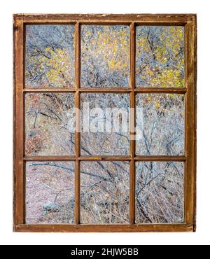 Arazzi di erba e arbusti nella prateria del Colorado, paesaggio di fine autunno nella zona naturale di Soapstone Prairie vicino a Fort Collins Foto Stock