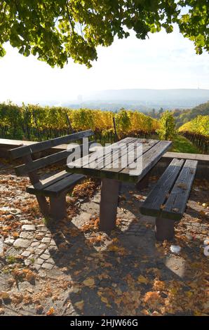 Si tratta di una panca parco che si affaccia su un vigneto e la città di Stoccarda, Germania. La gente può passeggiare attraverso il vigneto, riposare, mangiare, o sedersi e rilassarsi. Foto Stock