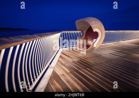 Conchiglia sul crinale di koserow sull'isola di Usedom, Germania Foto Stock