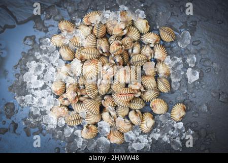 Cockles su sfondo di ghiaccio, pesce fresco crudo crostacei sangue cockle oceano gourmet frutti di mare nel ristorante o mercato Foto Stock