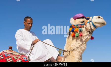 Uomo arabo seduto su un cammello Foto Stock