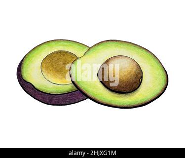 Disegno a matita avocado, isolato, sfondo bianco. Illustrazione vettoriale Illustrazione Vettoriale