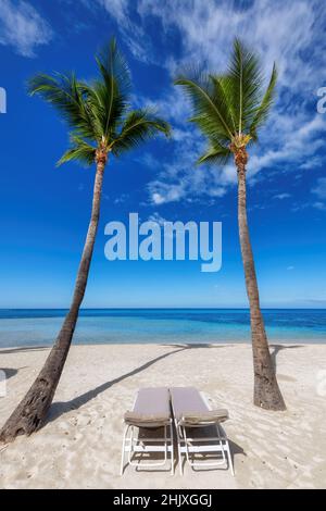 Spiaggia tropicale di sabbia bianca con palme da cocco e il mare turchese sull'isola dei Caraibi. Foto Stock