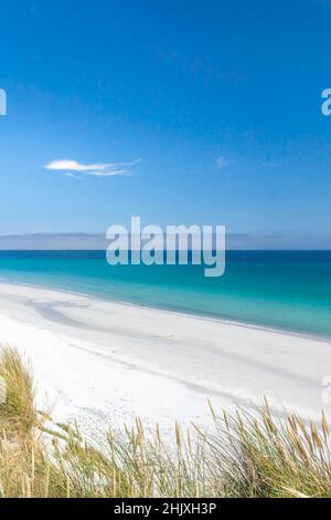 Tresness Beach, sull'isola di Sanday, Orkney, Scozia, Regno Unito Foto Stock