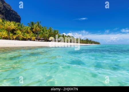 Bellissima spiaggia le Morne con palme dal mare tropicale dell'isola Mauritius. Foto Stock