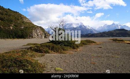 Paesaggio nel Parco Nazionale Torres del Paine, Cile Foto Stock