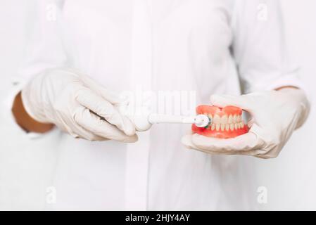 Igiene orale. I dentisti del primo piano stanno dimostrando come spazzolare correttamente i loro denti. Protesi dentaria nelle mani del medico. Odontoiatria con Foto Stock
