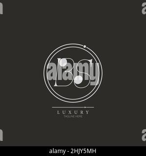 Unico moderno BS Letter Business Logo Design Alphabet icona Vector Symbol. Elegante e creativo modello con logo a lettere. Illustrazione Vettoriale
