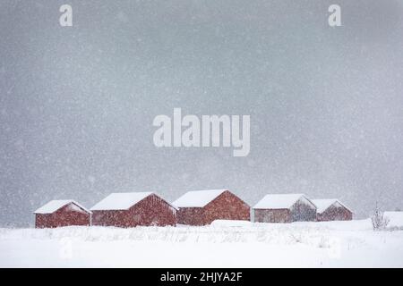 Capanne di pescatori in legno rosso, Isole Lofoten, Norvegia nella neve. Foto Stock