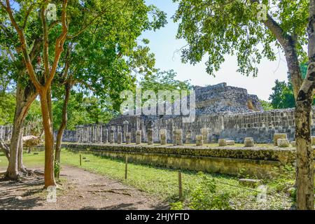 Kriegertempel 'Templo de Los Guerreros' mit der Halle der 1000 Säulen, Chichen Itza, Yucatan, Mexiko Foto Stock