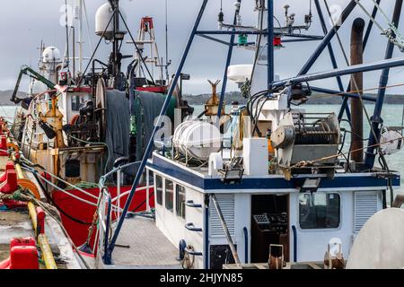 Baltimora, West Cork, Irlanda. 1st Feb 2022. Baltimora Harbour era molto tranquillo oggi, con solo 3 barche da pesca ormeggiate al molo. Il pomeriggio vedrà persistent docce con alti di 9-11 C. Credit: AG News/Alamy Live News Foto Stock