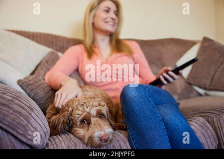 Donna con PET Cockapoo Dog rilassarsi sul divano guardando la TV a casa Foto Stock