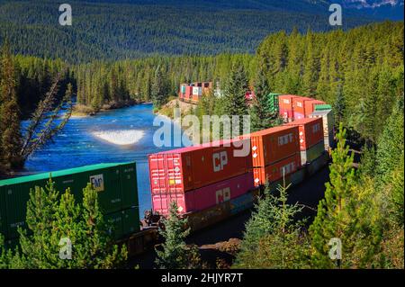 Treno merci che passa attraverso la curva di Morant in Bow Valley, Canada Foto Stock